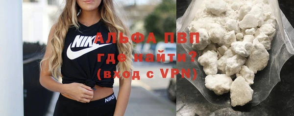 прущие грибы Дмитровск