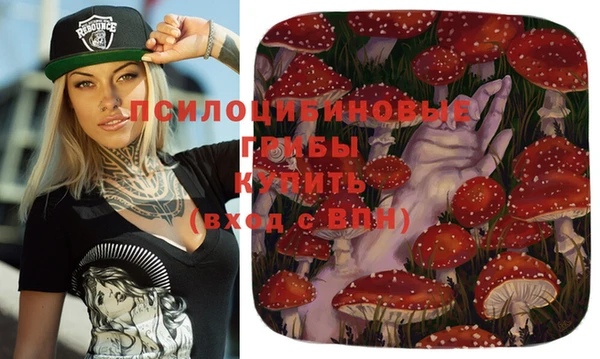 кокс Дмитров