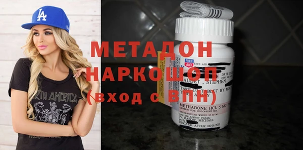 прущие грибы Дмитровск