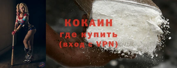 прущие грибы Дмитровск