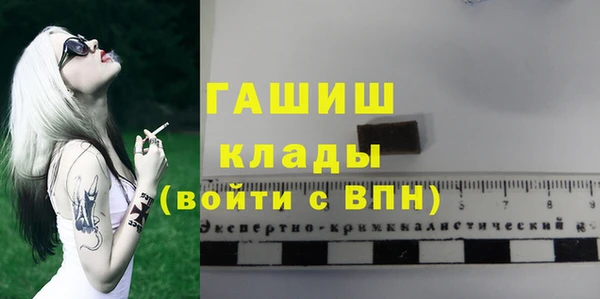 прущие грибы Дмитровск