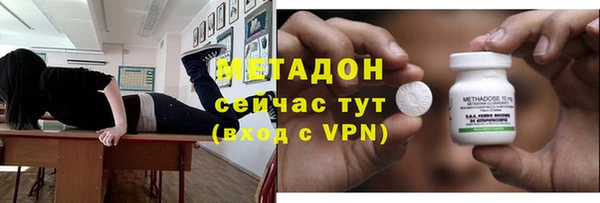 прущие грибы Дмитровск