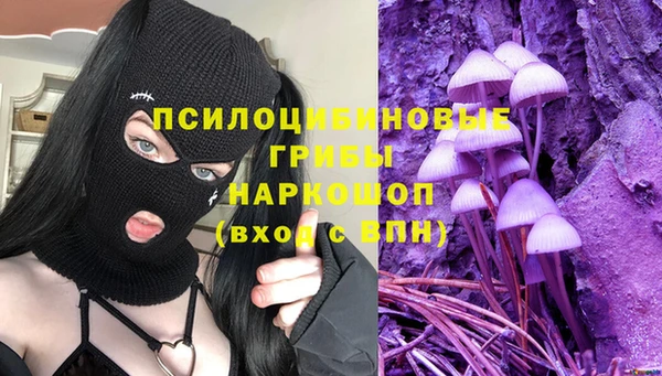 гидра Кизел