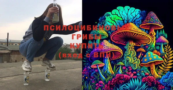 прущие грибы Дмитровск