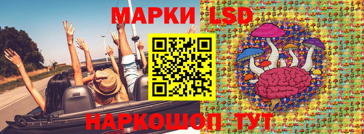 Наркотические марки 1500мкг  Вход с VPN  Гуково  Наркотические марки 1500мкг 