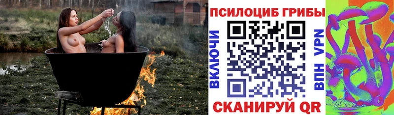 закладка  Гуково  Галлюциногенные грибы ЛСД 