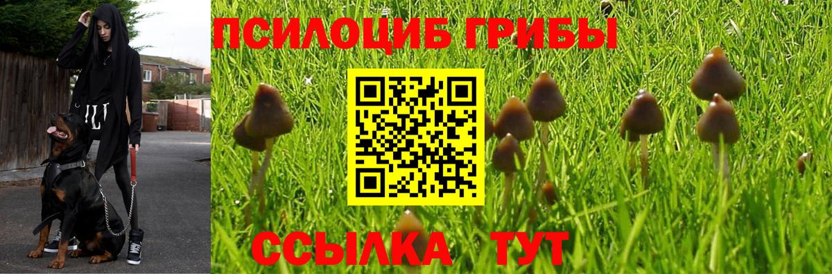 Гуково  Псилоцибиновые грибы Psilocybe  сколько стоит  Псилоцибиновые грибы Magic Shrooms  Вход с VPN 