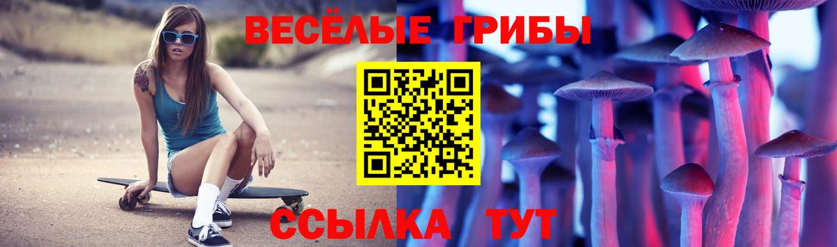 Псилоцибиновые грибы ЛСД  Гуково  Галлюциногенные грибы Cubensis 